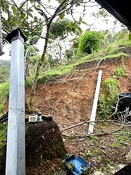 sky-wolves online show from November 5, 2025, 5:49 pm