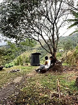 sky-wolves online show from September 18, 2025, 4:10 pm