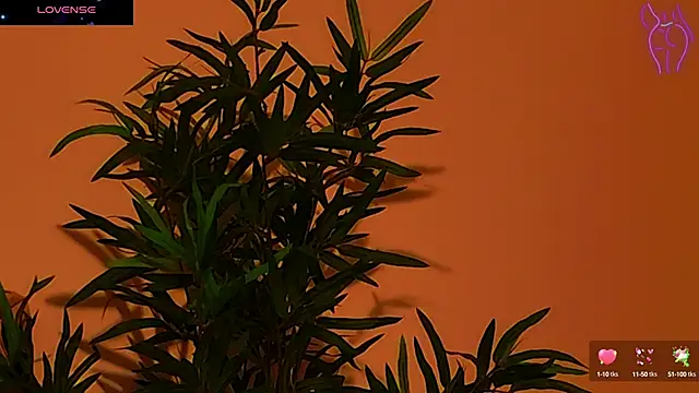 CoraVex online show from September 26, 2025, 4:19 am