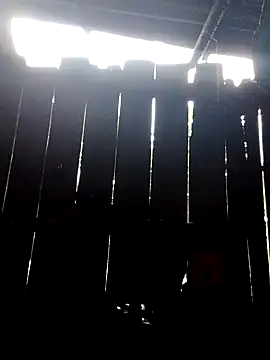 donna-bae online show from October 10, 2025, 11:16 pm