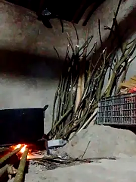 donna-bae online show from March 9, 2026, 11:36 am