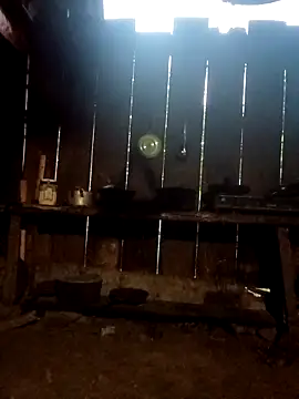 donna-bae online show from September 20, 2025, 10:59 pm