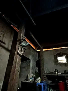 tulipsexy online show from January 7, 2026, 5:56 am