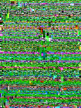 Alan18cmsafado online show from September 22, 2025, 3:45 am