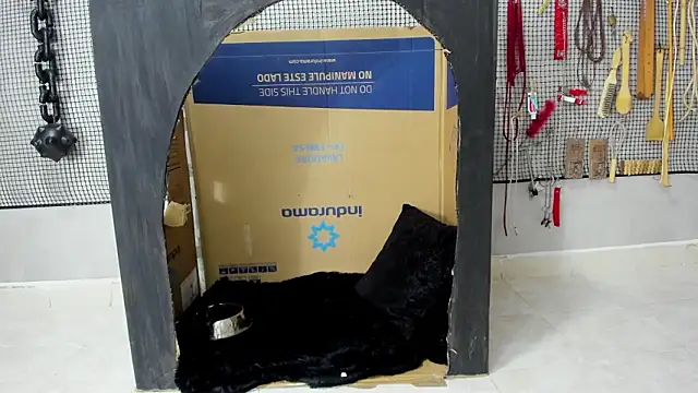 BDSM MEDUZA online show from February 5, 2026, 11:28 am