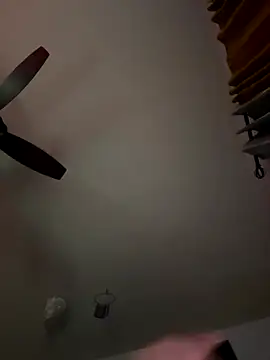 Snapshot of LeeDank chatting on November 23, 2025, 7:29 am LeeDank online show from November 23, 2025, 7:29 am