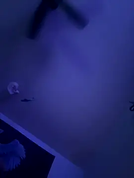 Snapshot of LeeDank chatting on September 29, 2025, 6:53 am LeeDank online show from September 29, 2025, 6:53 am