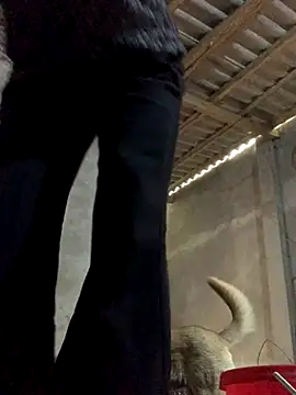 Halyy xx online show from October 30, 2025, 4:55 am