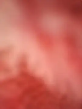 sayeaprayer65 online show from October 9, 2025, 3:29 am