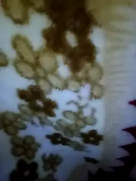 alone boy802 online show from November 2, 2025, 8:19 am