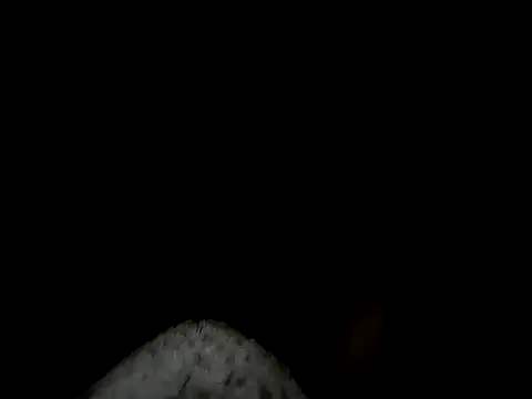 88heygirlhey88 online show from October 22, 2025, 6:35 am