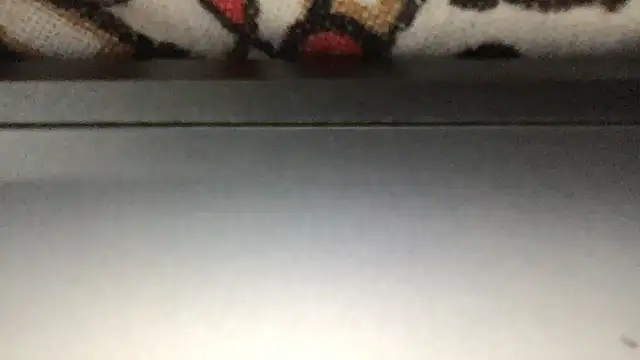 paula19800 online show from November 25, 2025, 6:19 pm