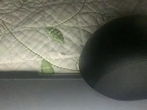 paula19800 online show from October 3, 2025, 10:28 am