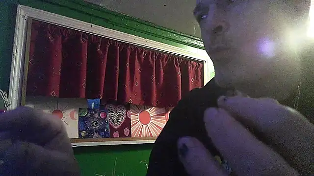 HippieDad333 online show from February 9, 2026, 11:14 pm