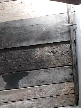 zhen-zo online show from April 17, 2026, 11:24 am