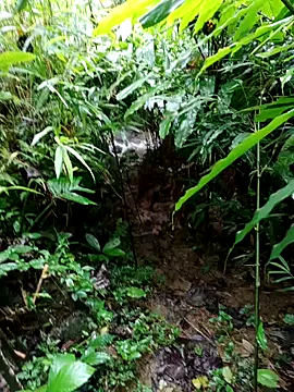 nhinhi-sexy online show from October 4, 2025, 2:35 am