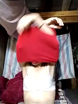 lmc-zz online show from November 17, 2025, 12:20 pm