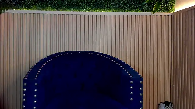 Snapshot of Dante_Dimarco chatting on October 2, 2025, 11:19 pm Dante Dimarco online show from October 2, 2025, 11:19 pm