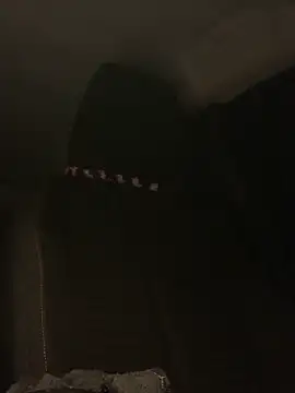 GoldenPussy1329 online show from November 11, 2025, 8:25 pm