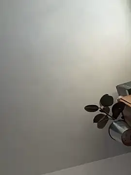 Snapshot of UnitedMap1 chatting on November 20, 2025, 2:51 pm UnitedMap1 online show from November 20, 2025, 2:51 pm