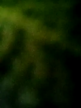 Apeesynka55211 online show from October 4, 2025, 5:58 pm