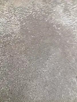 Hotty ruvi online show from October 10, 2025, 10:16 am