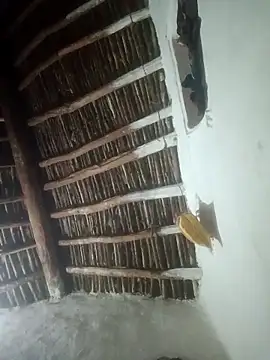 LOVE-VIKA online show from February 23, 2026, 1:12 pm