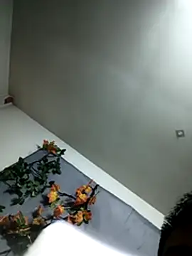 zghn88 online show from November 22, 2025, 10:14 am