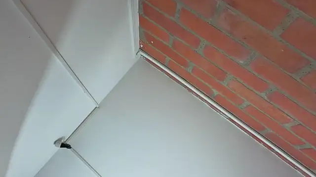 Snapshot of Zoe_Blond chatting on November 25, 2025, 3:40 am Zoe Blond online show from November 25, 2025, 3:40 am