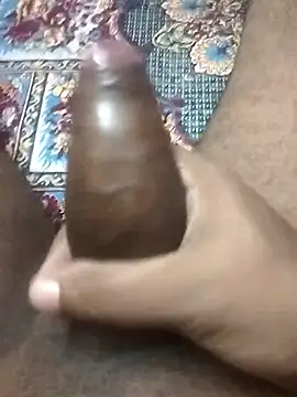 jeet 00 online show from November 5, 2025, 7:33 am