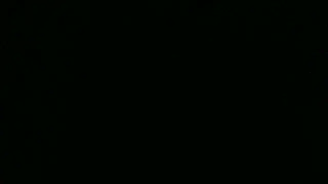 Im david02 online show from November 18, 2025, 2:31 pm