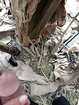 Sikici0734 online show from October 4, 2025, 1:34 pm