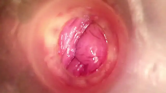 shannon kinne  online show from January 15, 2026, 1:58 pm