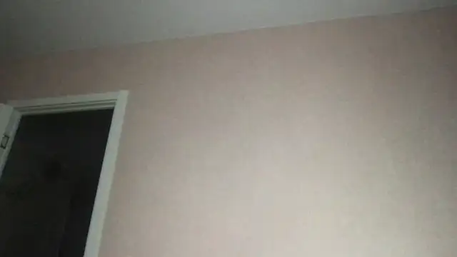 Bally Bay online show from November 23, 2025, 12:53 am