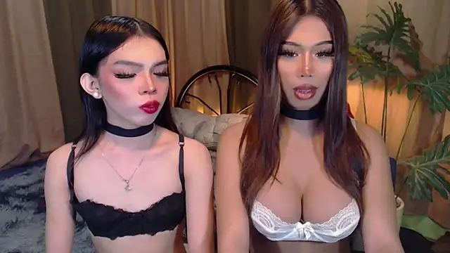 TWINKTRANSSHANEL online show from October 6, 2025, 4:24 am