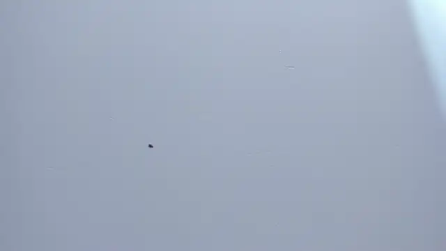 Malory  Jones online show from January 9, 2026, 6:59 pm