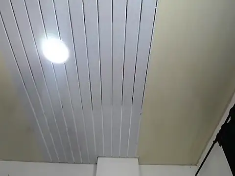 Snapshot of vauroraper chatting on November 11, 2025, 1:00 am vauroraper online show from November 11, 2025, 1:00 am