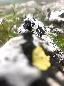 Sert erkek21 ysm online show from April 9, 2026, 1:28 pm