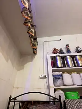 Sapnahot34 online show from November 7, 2025, 3:33 am