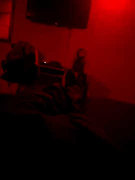 mateocorved online show from November 30, 2025, 4:57 am