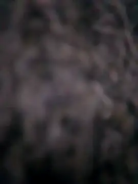 Ripe me online show from November 10, 2025, 10:20 am