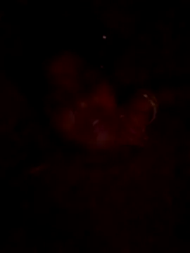 Snapshot of Tg_sonam chatting on October 23, 2025, 4:16 pm Tg sonam online show from October 23, 2025, 4:16 pm