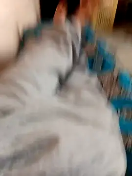 latarak321 online show from October 12, 2025, 3:35 pm