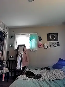 Cassaroll333 online show from November 20, 2025, 4:51 pm