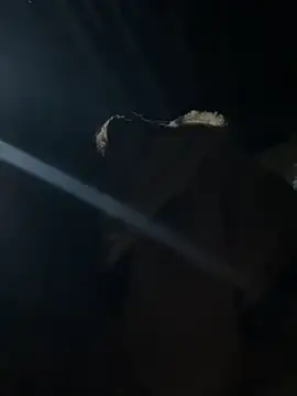 Snapshot of hello-cute chatting on November 12, 2025, 11:19 pm hello-cute online show from November 12, 2025, 11:19 pm