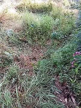 jerry-xx online show from October 29, 2025, 12:53 am