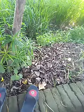 World Top Girl online show from October 8, 2025, 6:04 am