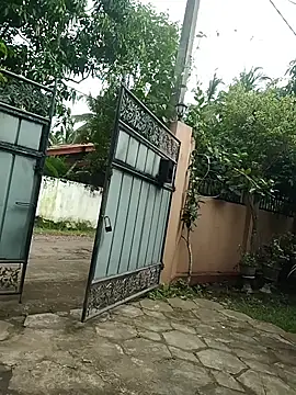 SL BEAR online show from December 18, 2025, 7:57 am