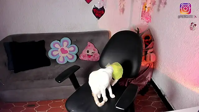 Emilycollei online show from April 11, 2026, 7:45 am