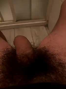 Theanimals online show from November 5, 2025, 11:52 pm